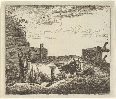 Recumbent Goats, from Different Animals by Adriaen van de Velde