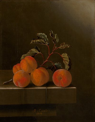 Still Life with Five Apricots by Adrian Coorte