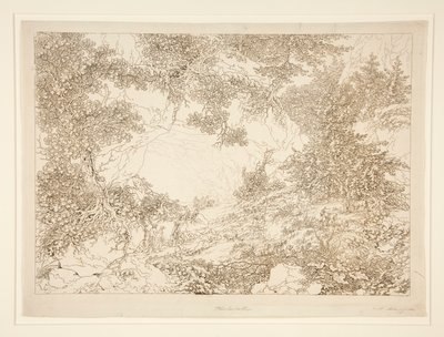 Landscape by Adrian Zingg
