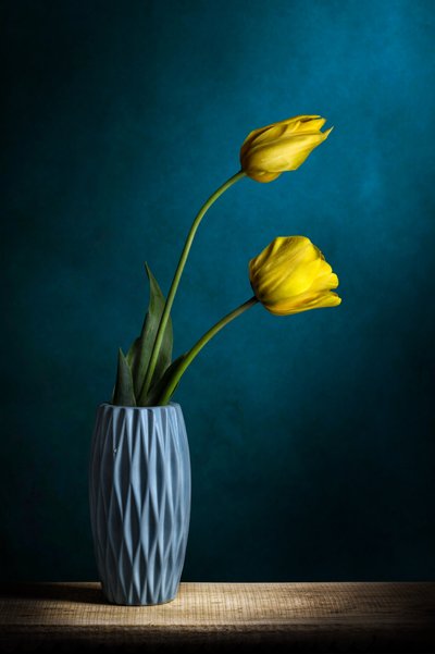 Elegant Yellow Tulips by Adriana Vitale