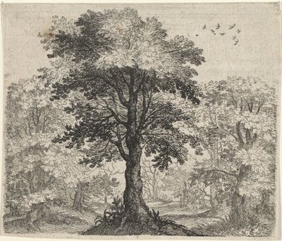 Fable of the Elm and the Oak by Egidius  Sadeler (II)