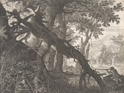 A Forest with a Rabbit Hunt by Aegidius Sadeler II
