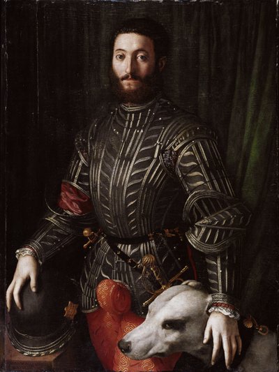 Portrait of Guidobaldo II Della Rovere, Duke of Urbino by Agnolo Bronzino