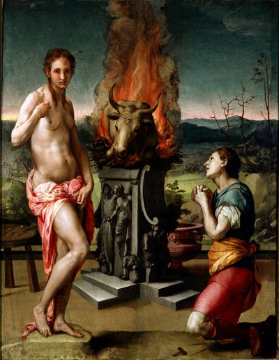 Pygmalion and Galatee by Agnolo Bronzino