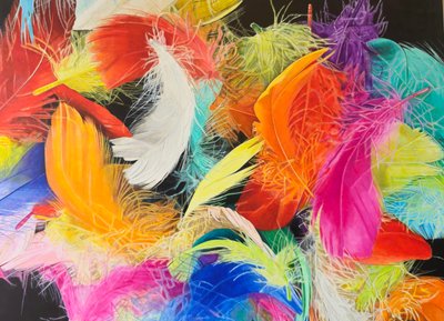 Feathers