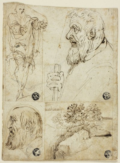 Four Sketches: Standing Male Figure; Profile Bust of Bearded Man; Profile Head of Bearded Man; Landscape by Agostino Carracci