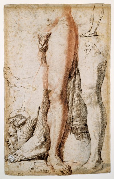 Studies of a man