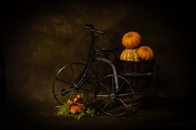 Vintage Tricycle Harvest by Aijuan Wang