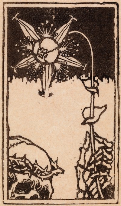 Death and the Flower by Akseli Gallen-Kallela
