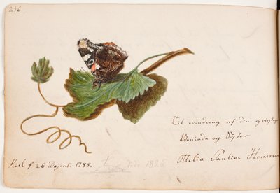 Naked Man with a Dagger in Hand and a Greeting from Müller by Al Müller