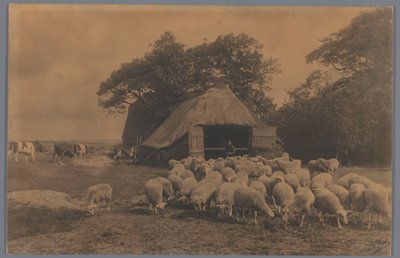 Landscape with Sheep, Cows, Farmer, and Sheepfold, Netherlands by Alb. Kapteijn