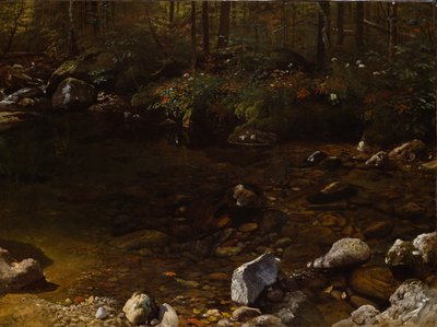 Shady Pool, White Mountains, New Hampshire by Albert Bierstadt