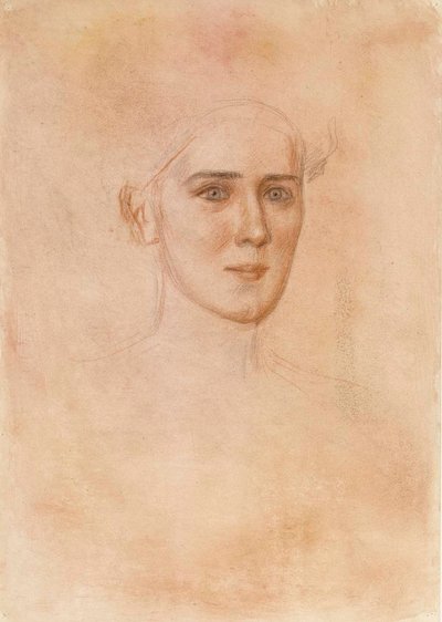 Portrait of a Woman, Face by Albert Edelfelt
