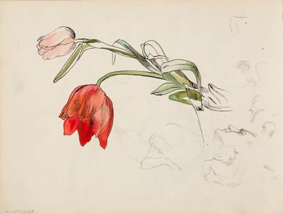 Tulips, Face Studies by Albert Edelfelt