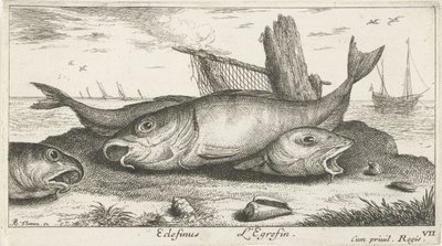 Three Haddocks on the Beach by Albert Flamen