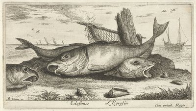 Three Haddocks on the Beach by Albert Flamen