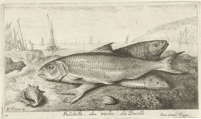 Three Fish on the Beach by Albert Flamen