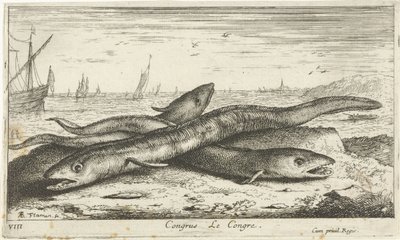 Three Eels on the Beach by Albert Flamen