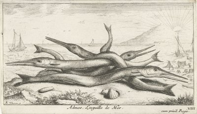 Pike on the Beach by Albert Flamen
