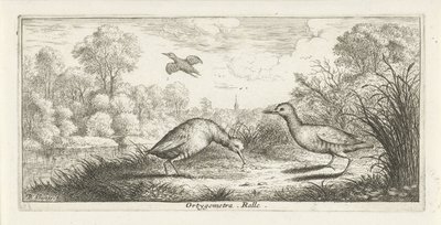 Landscape with Two Rails on a Shore (Bird Book) by Albert Flamen