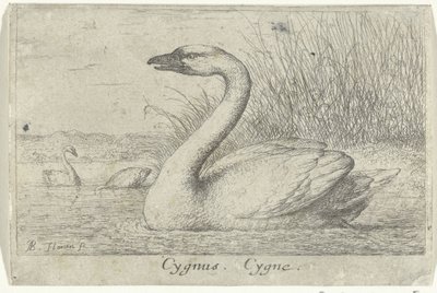 Landscape with Swan (title on object) (series title) by Albert Flamen