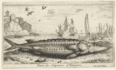 Sturgeon on the Beach by Albert Flamen