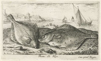 Two Flatfish on the Beach by Albert Flamen