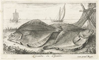 Two Flounders on the Beach by Albert Flamen