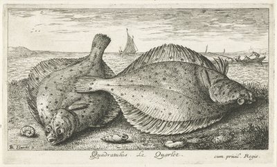 Two Plaice on the Beach (series title: Fish and Other Sea Creatures - Saltwater Third Series) by Albert Flamen