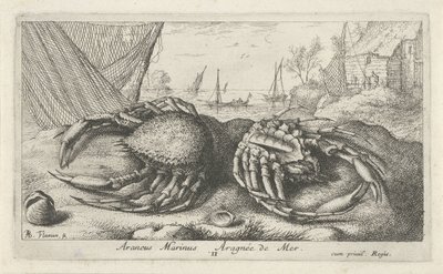 Two Spider Crabs by a Fishing Net by Albert Flamen