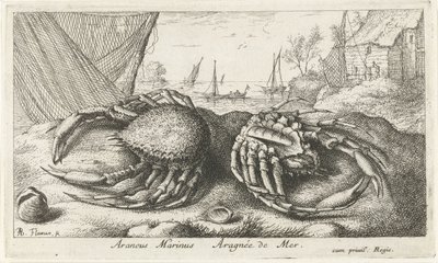 Two Spider Crabs by a Fishing Net (Saltwater Series) by Albert Flamen
