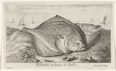 Two Turbots on the Beach by Albert Flamen
