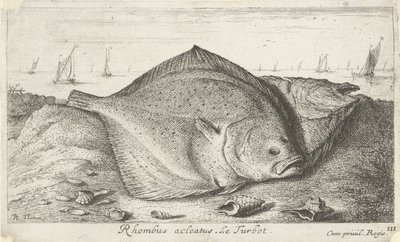Two Turbots on the Beach by Albert Flamen
