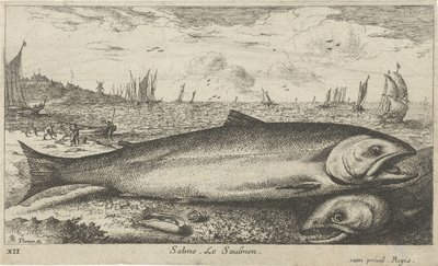 Two Salmon on the Beach (series title: Fish and Other Sea Creatures - Saltwater First Series) by Albert Flamen