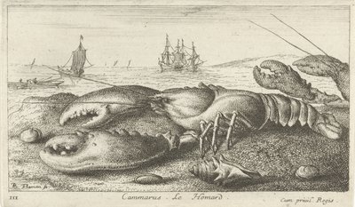 Lobster on the Beach (Vissen en andere zeedieren - zoutwater eerste reeks, Diverses Especes de Poissons de mer) by Albert Flamen