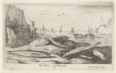 Six Smelts on the Beach (series title: Fish and Other Sea Creatures - Saltwater Second Series) by Albert Flamen