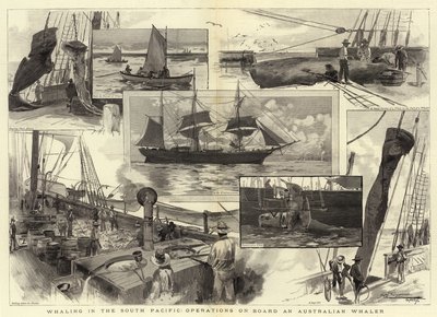 Whaling in the South Pacific, operations on Board an Australian Whaler by Albert Henry Fullwood
