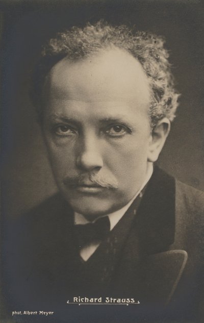 Portrait of the Musical Composer, Richard Strauss by Albert Meyer