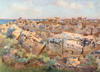 A Dead City, Selinous by Alberto Pisa