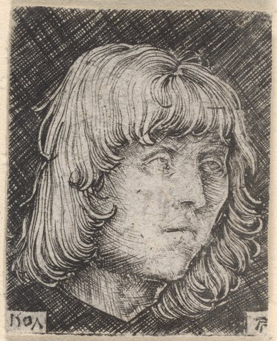 Head of a Young Man by Albrecht Altdorfer