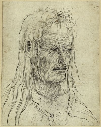 Head of an Ugly Old Woman, Facing Right by Albrecht Altdorfer