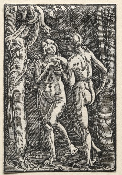 The Fall and Redemption of Man: Adam and Eve Eating the Forbidden Fruit by Albrecht Altdorfer
