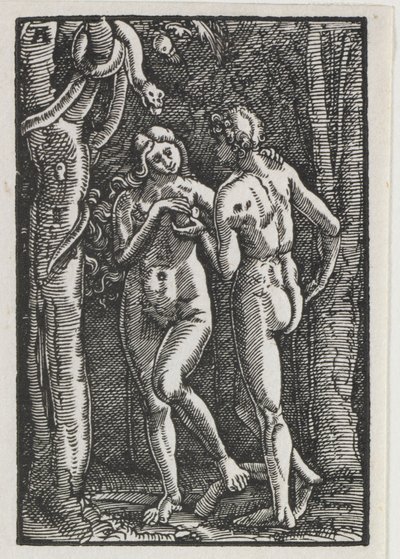 The Fall and Redemption of Man: Adam and Eve Eating the Forbidden Fruit by Albrecht Altdorfer