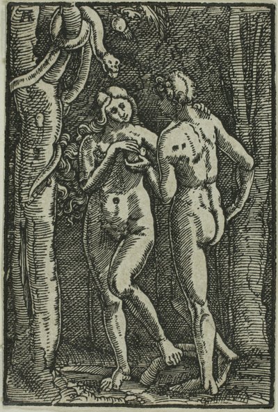 The Fall of Man (from The Fall and Redemption of Man) by Albrecht Altdorfer