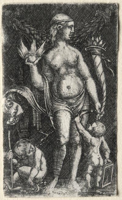 Venus Between Two Cupids by Albrecht Altdorfer