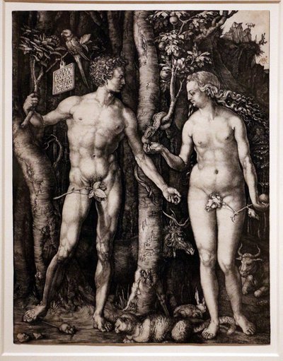 Adam and Eve by Albrecht Dürer