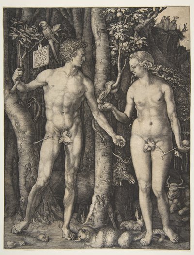 Adam and Eve by Albrecht Dürer