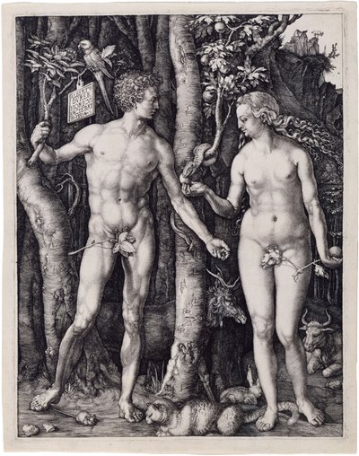Adam and Eve by Albrecht Dürer
