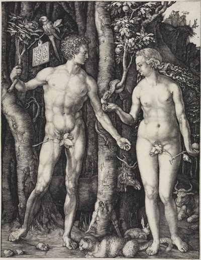 Adam and Eve by Albrecht Dürer
