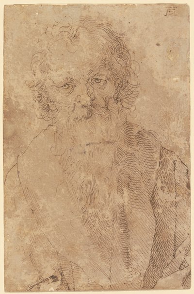 Bearded Old Man by Albrecht Dürer